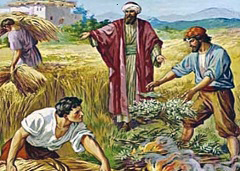 Thứ Bảy, 27.07.2019 – Những kẻ đạo đức giả