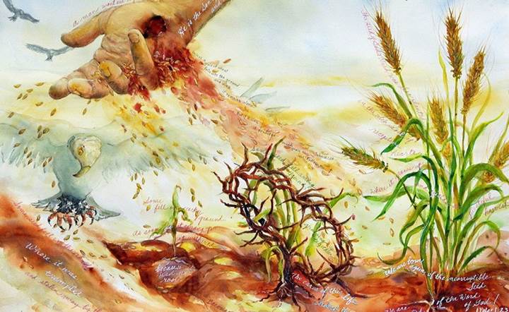 Thứ Tư, 29.02.2020 – Mảnh đất tâm hồn: Dữ và Lành