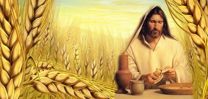 Thứ Ba, 28.04.2020 – Thiên Chúa Chờ Đợi “Dấu Lạ” Nơi Con Người