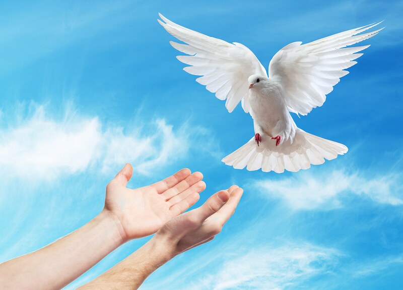 Thứ Ba, 19.05.2020 – Nhạy Bén và Vâng Theo Sự Hướng Dẫn Của Thánh Thần