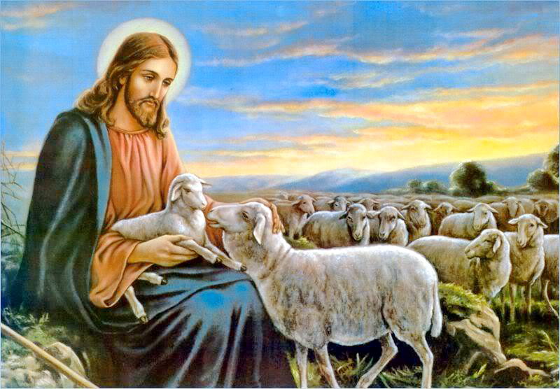 Thứ Hai, 04.05.2020 – Hình Ảnh Người Mục Tử