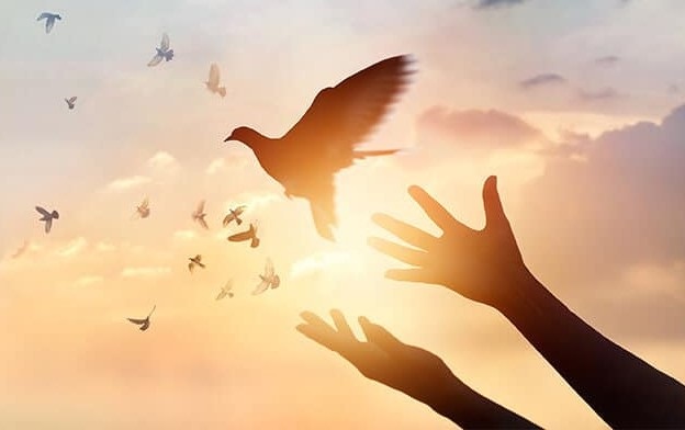 Thứ Năm, 11.06.2020 Tôi Không Có Bình An