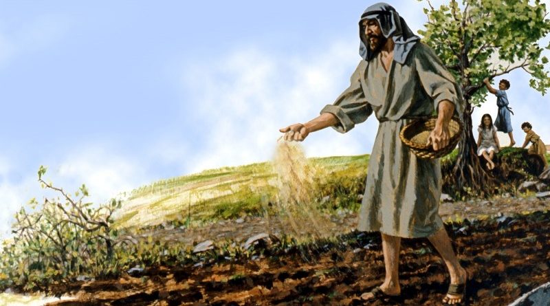 Chúa Nhật, 12.07.2020 Hạt Giống Và Những Vùng Đất