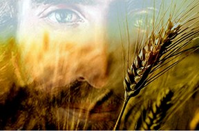 Thứ Ba, 28.07.2020Hệ Luỵ Thiện – Ác