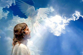 Thứ Bảy, 18.07.2020 Tôi Trung Của Thiên Chúa