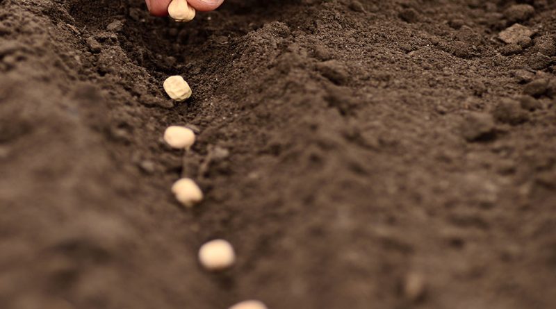 Thứ Sáu, 24.07.2020Sự Vung Vãi Của Chúa