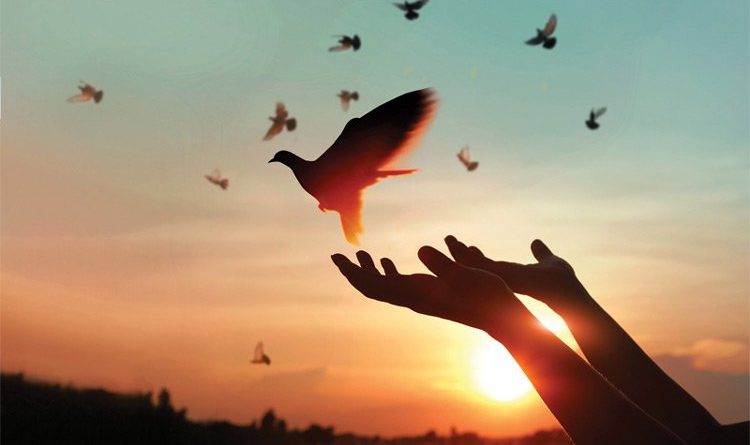 Thứ Năm, 13.08.2020Tha Thứ Và Yêu Thương Không Giới Hạn 