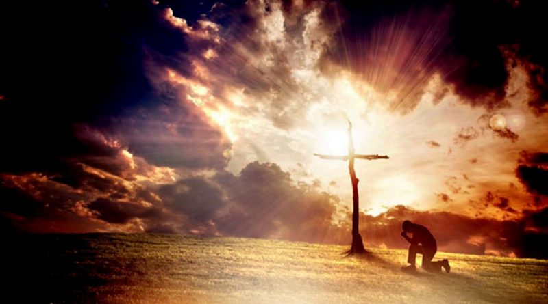 Thứ Ba, 10.11.2020 – Hồng Ân Cuộc Đời