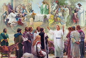 Thứ Bảy, 05.12.2020Đấng “chạnh lòng thương”