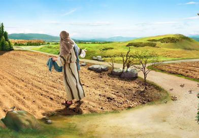 Chúa Nhật, 13.06.2021Đêm Hay Ngày, Ngủ Hay Thức