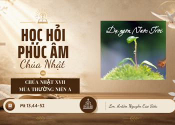 HỌC HỎI PHÚC ÂM CHÚA NHẬT XVII THƯỜNG NIÊN – Năm A