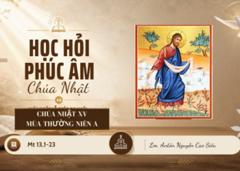 HỌC HỎI PHÚC ÂM CHÚA NHẬT XV THƯỜNG NIÊN – Năm A