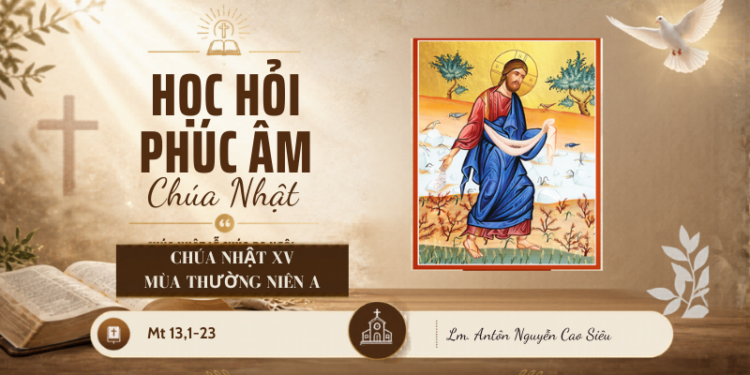 HỌC HỎI PHÚC ÂM CHÚA NHẬT XV THƯỜNG NIÊN – Năm A