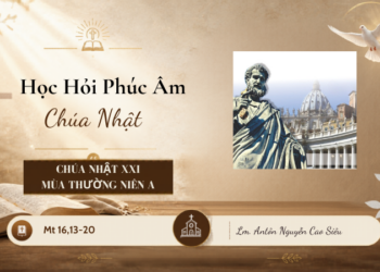 HỌC HỎI PHÚC ÂM CHÚA NHẬT XXI THƯỜNG NIÊN – Năm A