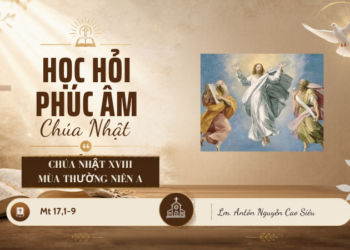 HỌC HỎI PHÚC ÂM CHÚA NHẬT XVIII THƯỜNG NIÊN – Năm A