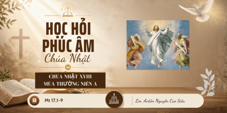 HỌC HỎI PHÚC ÂM CHÚA NHẬT XVIII THƯỜNG NIÊN – Năm A