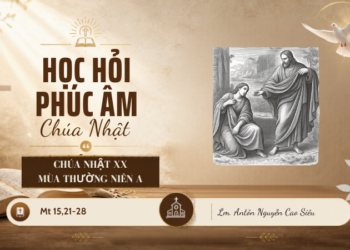 HỌC HỎI PHÚC ÂM CHÚA NHẬT XX THƯỜNG NIÊN – Năm A