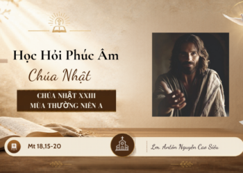 HỌC HỎI PHÚC ÂM CHÚA NHẬT XXIII THƯỜNG NIÊN – Năm A