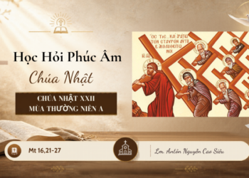 HỌC HỎI PHÚC ÂM CHÚA NHẬT XXII THƯỜNG NIÊN – Năm A