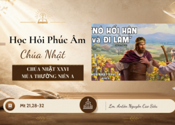 HỌC HỎI PHÚC ÂM CHÚA NHẬT XXVI THƯỜNG NIÊN – Năm A