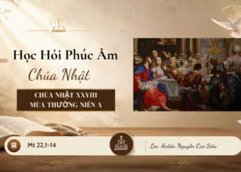 HỌC HỎI PHÚC ÂM CHÚA NHẬT XXVIII THƯỜNG NIÊN – Năm A