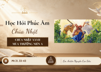 HỌC HỎI PHÚC ÂM CHÚA NHẬT XXVII THƯỜNG NIÊN – Năm A