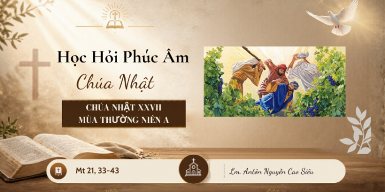 HỌC HỎI PHÚC ÂM CHÚA NHẬT XXVII THƯỜNG NIÊN – Năm A