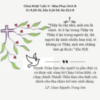Chúa Nhật Tuần V - Mùa Phục Sinh B, 28/04/2024<br />THÁNH THẦN LÀM CHO CÁC MỐI TƯƠNG QUAN TRỞ NÊN THẬT