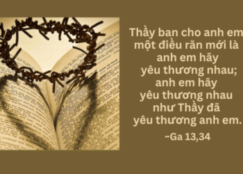 Chúa Nhật 18.05.2025Niềm Vui và Hy Vọng Hình Thành Từ Nước Mắt