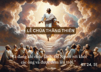 Chúa Nhật 1.06.2025Giáo Hội, nơi sự sống được dưỡng nuôi
