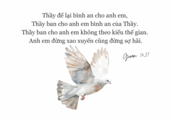 Thứ Ba 20.05.2025Bình an