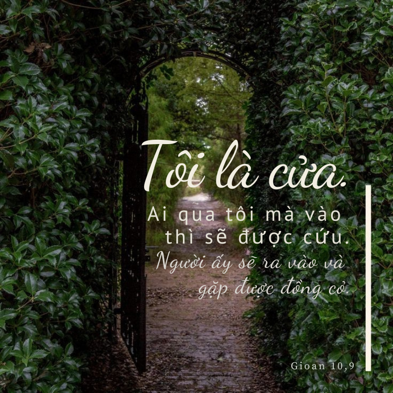 Thứ Hai 12.05.2025<br />Mục Tử nhân lành