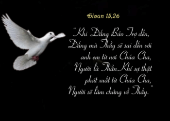 Thứ Hai 26.05.2025 Thần Khí Sự Thật