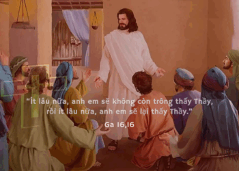 Thứ Năm 29.05.2025 Ít lâu nữa