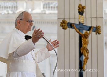 ĐTC Lêo XIV – Loạt Bài Giáo lý – Năm Thánh 2025 – Bài 8. Những người làm công trong vườn nho.