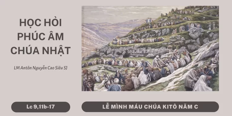 HỌC HỎI PHÚC ÂM CHÚA NHẬT LỄ MÌNH MÁU THÁNH CHÚA (Năm C)