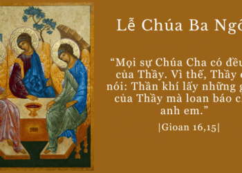 Chúa Nhật 15.06.2025 Đi vào sự bình an của Thiên Chúa