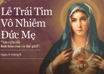 Thứ Bảy 28.06.2025 Mẹ lưu giữ mọi sự trong lòng