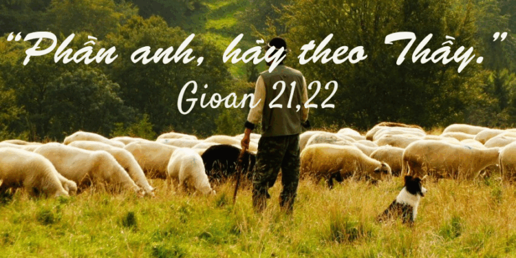 Thứ Bảy 07.06.2025 “Phần anh, hãy theo Thầy”