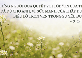 Thứ Bảy 21.06.2025 Mạnh và Yếu