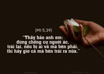 Thứ Hai 16.06.2025 Để có mọi sự trong Chúa