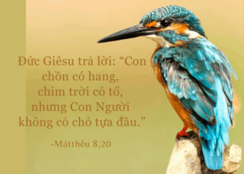 Thứ Hai 30.06.2025 Theo Chúa