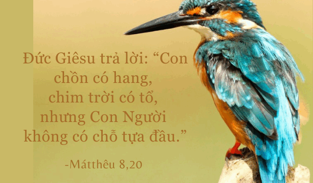 Thứ Hai 30.06.2025 Theo Chúa