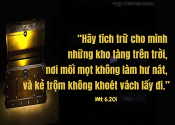 Thứ Sáu 20.06.2025 Kho tàng của tôi ở đâu?