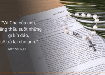 Thứ Tư 18.06.2025 Vì yêu Chúa