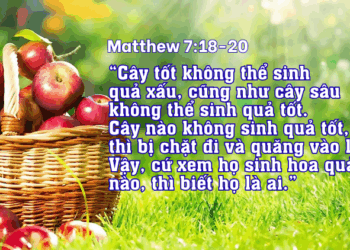 Thứ Tư 25.06.2025 Sinh hoa quả trong đời sống