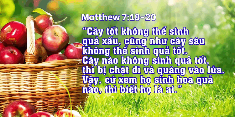 Thứ Tư 25.06.2025 Sinh hoa quả trong đời sống