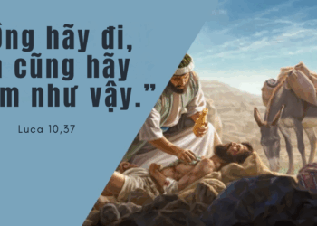 Chúa Nhật 13.07.2025 Người lân cận của tôi