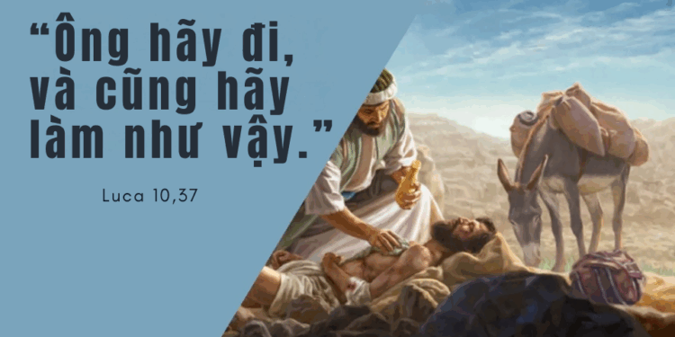 Chúa Nhật 13.07.2025 Người lân cận của tôi