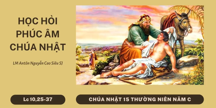 HỌC HỎI PHÚC ÂM CHÚA NHẬT XV THƯỜNG NIÊN – Năm C
